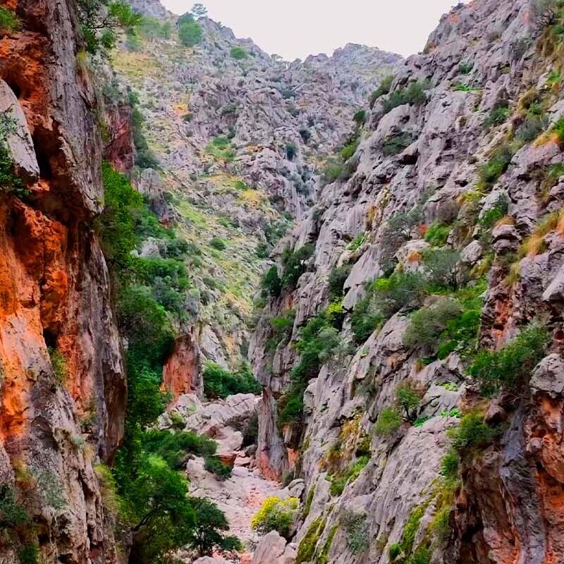 Hiking på Mallorca under bartenderkursus